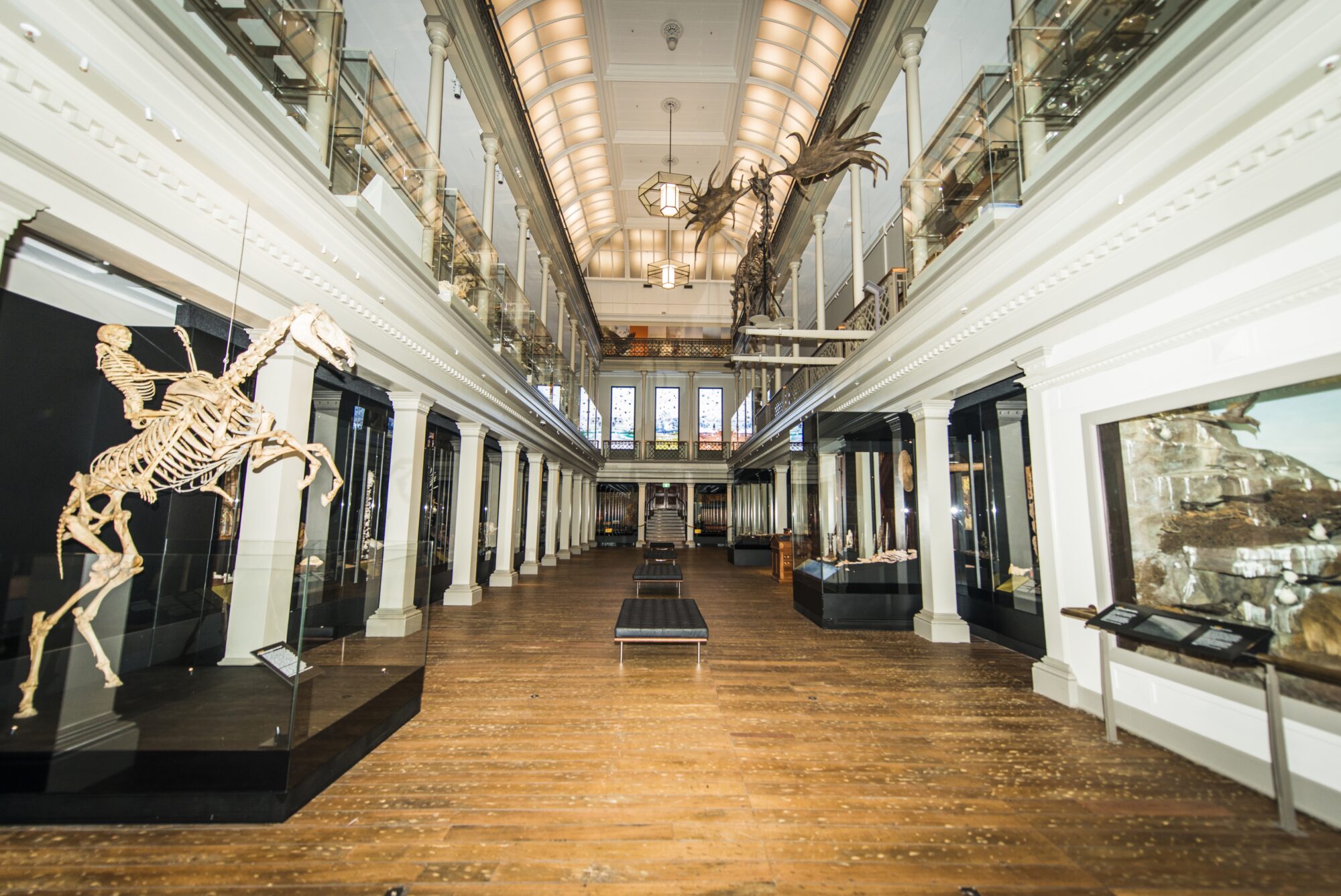 Australian Museum Westpac Long Gallery Projects Goppion